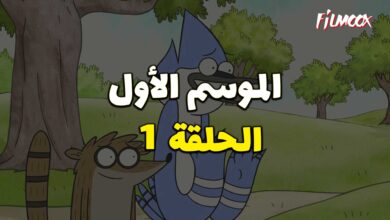 تدور أحداث المسلسل حول حياة صديقين، قيق أزرق اسمه موردكاي وراكون اسمه ريجبي يعمل كلاهما كبستانيين ...