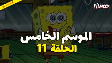 كرتون سبونج بوب سكوير بانتس الموسم الخامس الحلقة 11 مدبلج