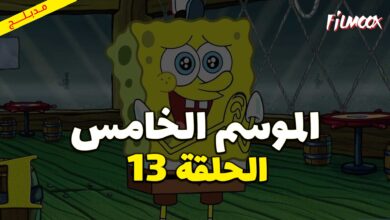 كرتون سبونج بوب سكوير بانتس الموسم الخامس الحلقة 13 مدبلج