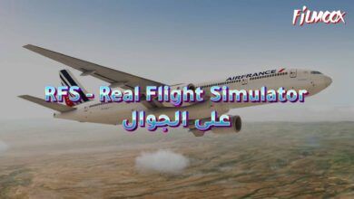 RFS - Real Flight Simulator