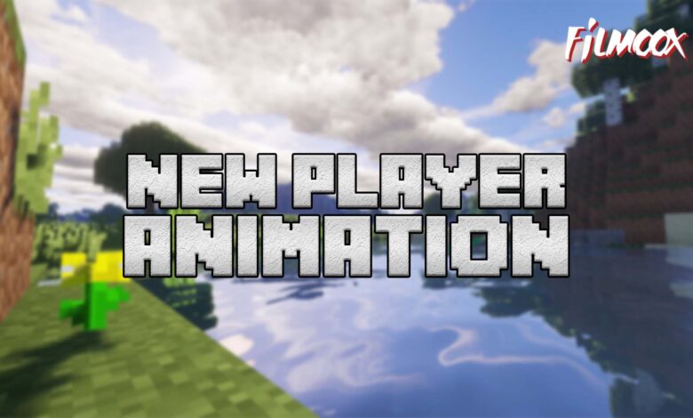 New Player Animation