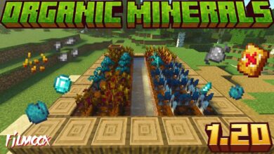 ماين كرافت مود Organic Minerals