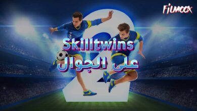 Skilltwins
