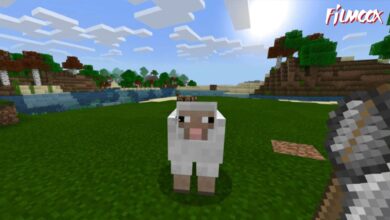 ماين كرافت مود ANIMAL CAPTURE