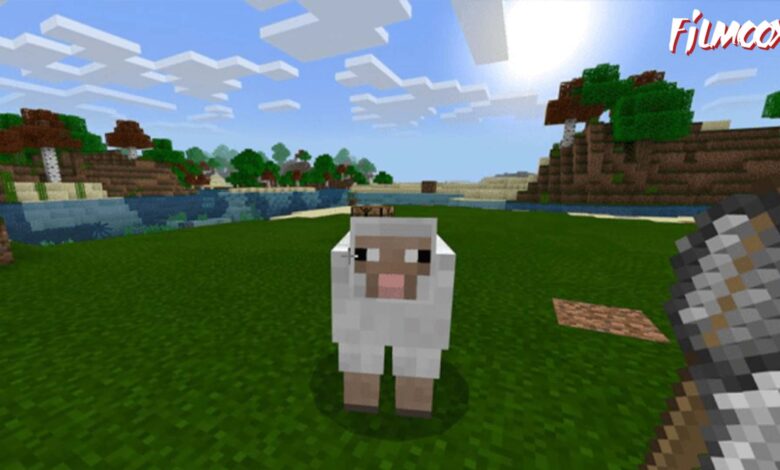 ماين كرافت مود ANIMAL CAPTURE
