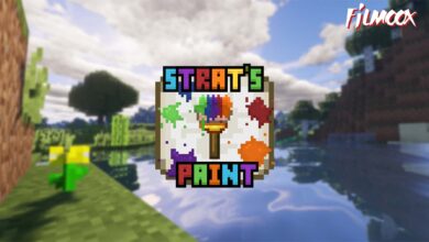 ماين كرافت مود Strat's Paint