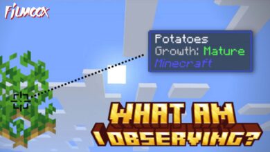 ماين كرافت مود What Am I Observing?