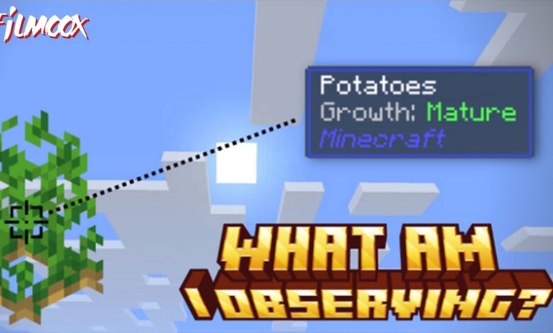 ماين كرافت مود What Am I Observing?