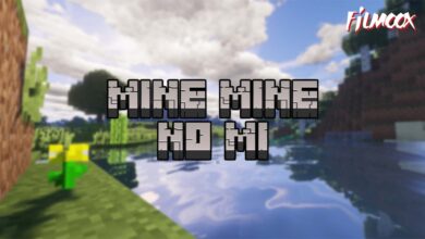 Mine Mine no Mi Mod