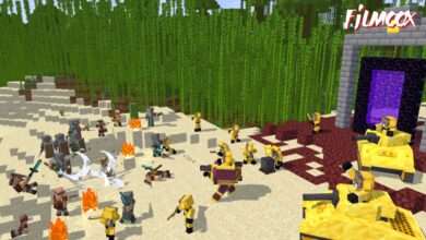 VIllager and Illager Faction