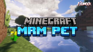 ماين كرافت مود MRM Pet 