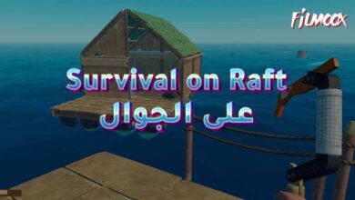 Survival on Raft