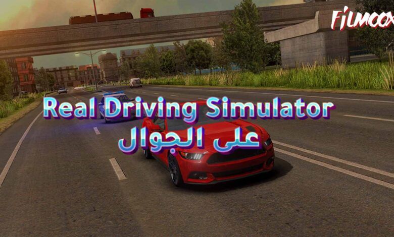 Real Driving Simulator