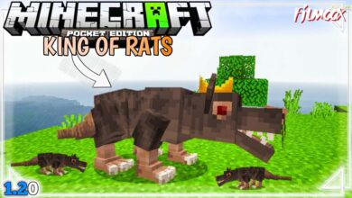 ماين كرافت مود King of Rats 