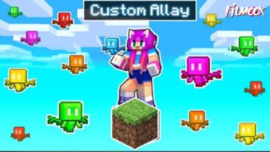 ماين كرافت مود Customs Allays