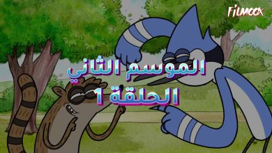 كرتون العرض العادي الموسم
