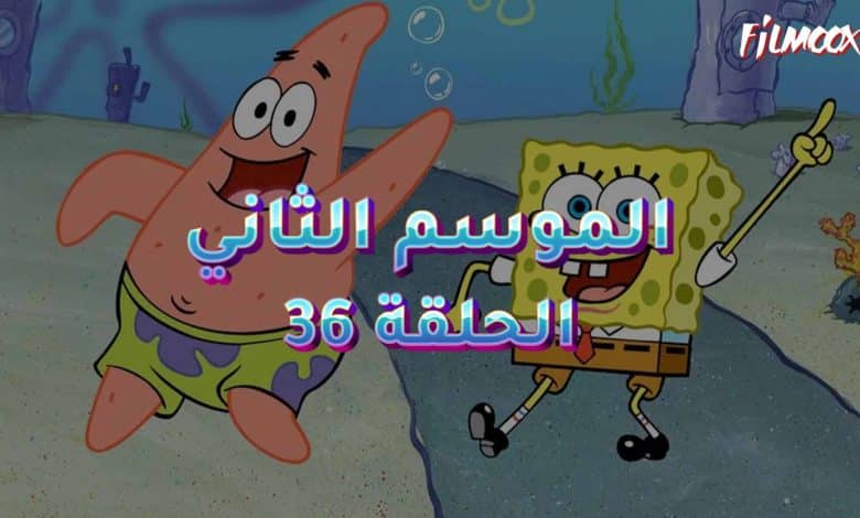 كرتون سبونج بوب الموسم الثاني الحلقة 36 مدبلج