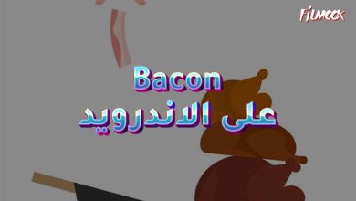 Bacon