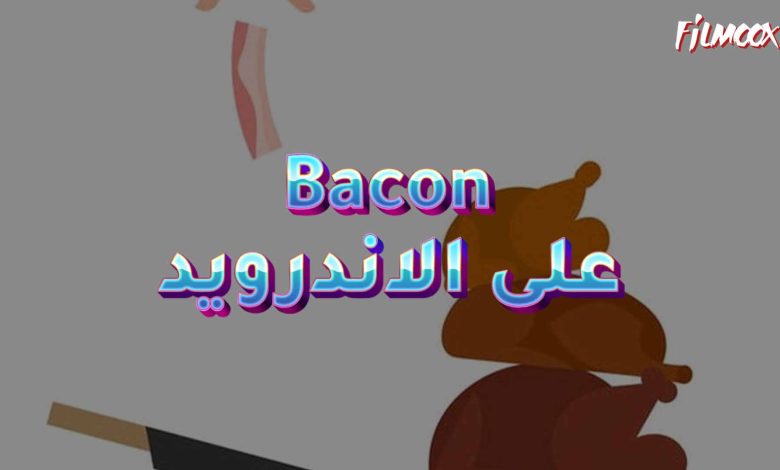 Bacon