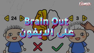 Brain Out