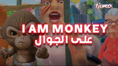 I am monkey